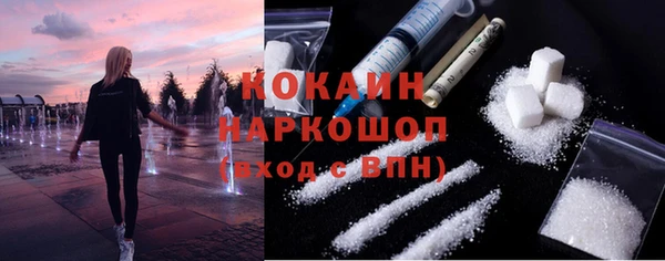 ПСИЛОЦИБИНОВЫЕ ГРИБЫ Новозыбков