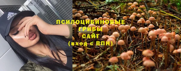 mdpv Алексин