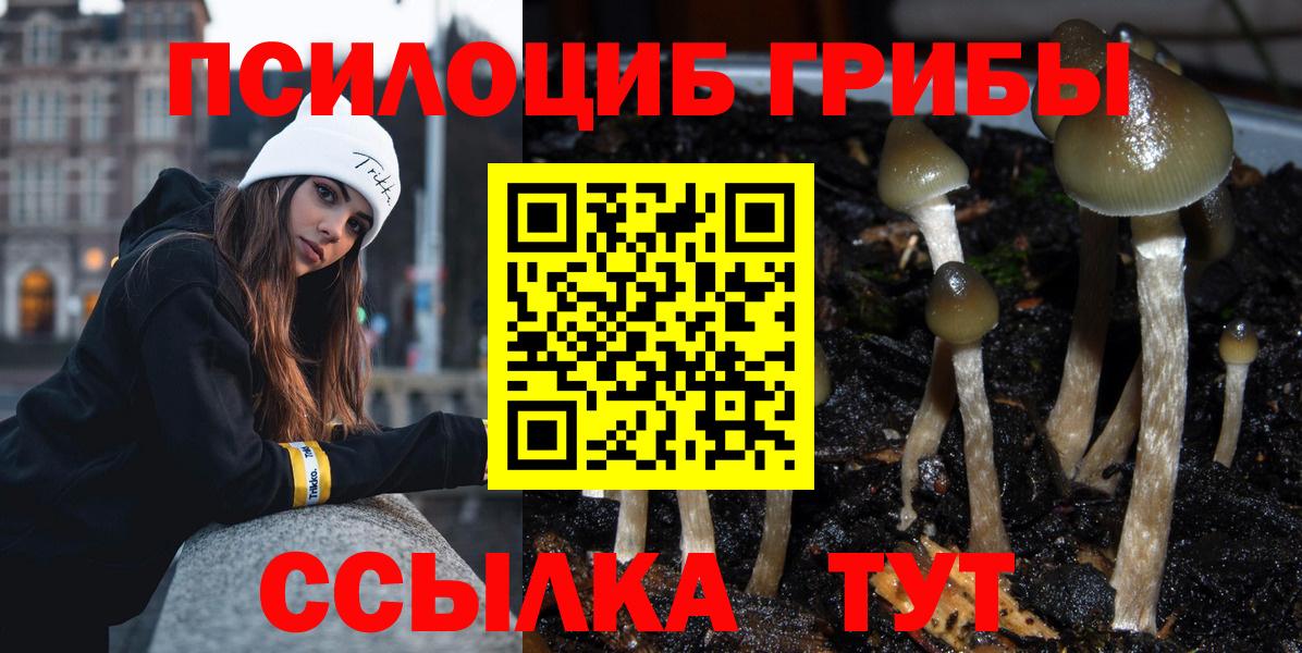 где можно купить   Вход с VPN  Первоуральск  Галлюциногенные грибы Psilocybine cubensis 